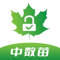 中数苗
