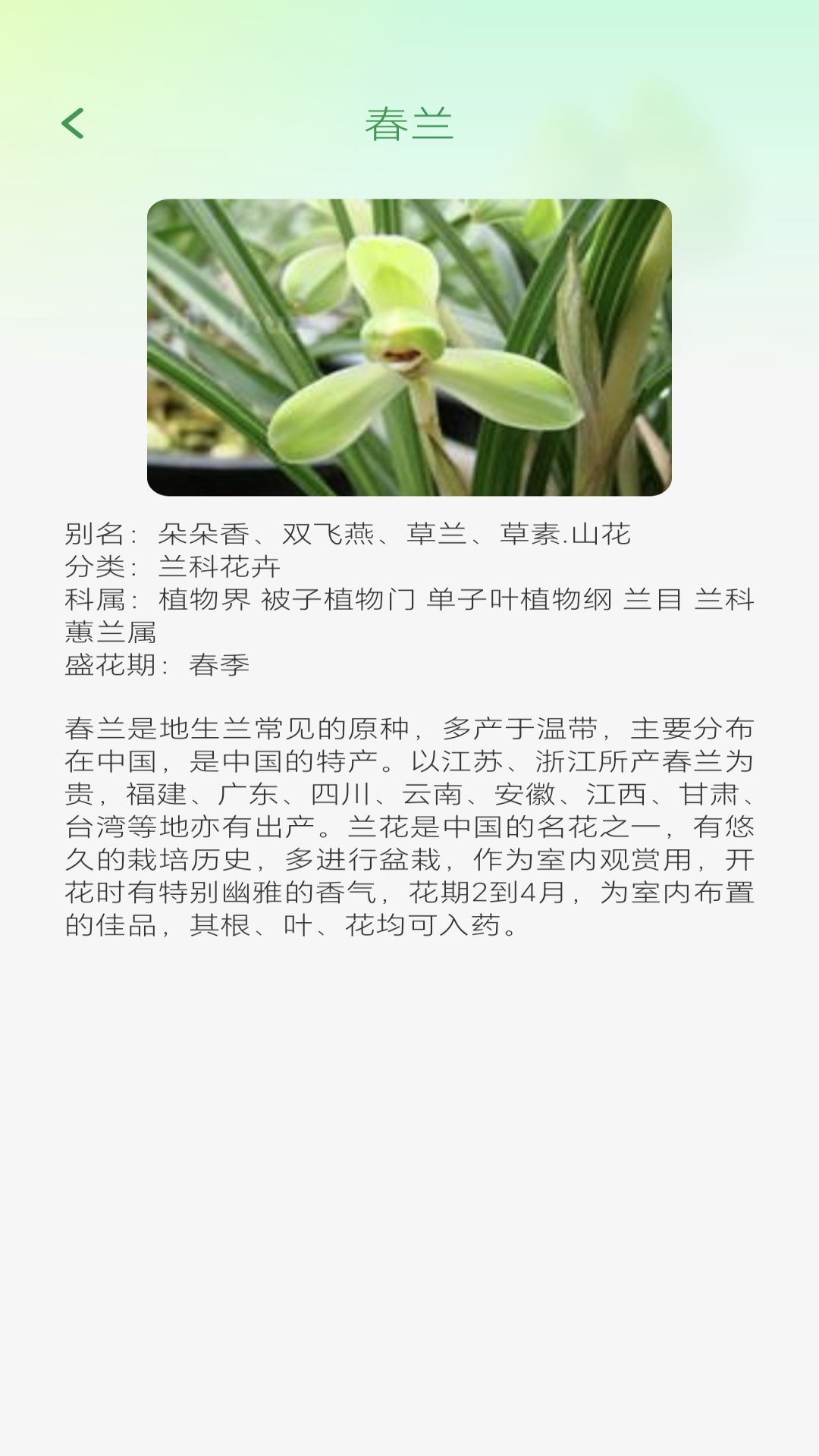 妙看四季软件封面