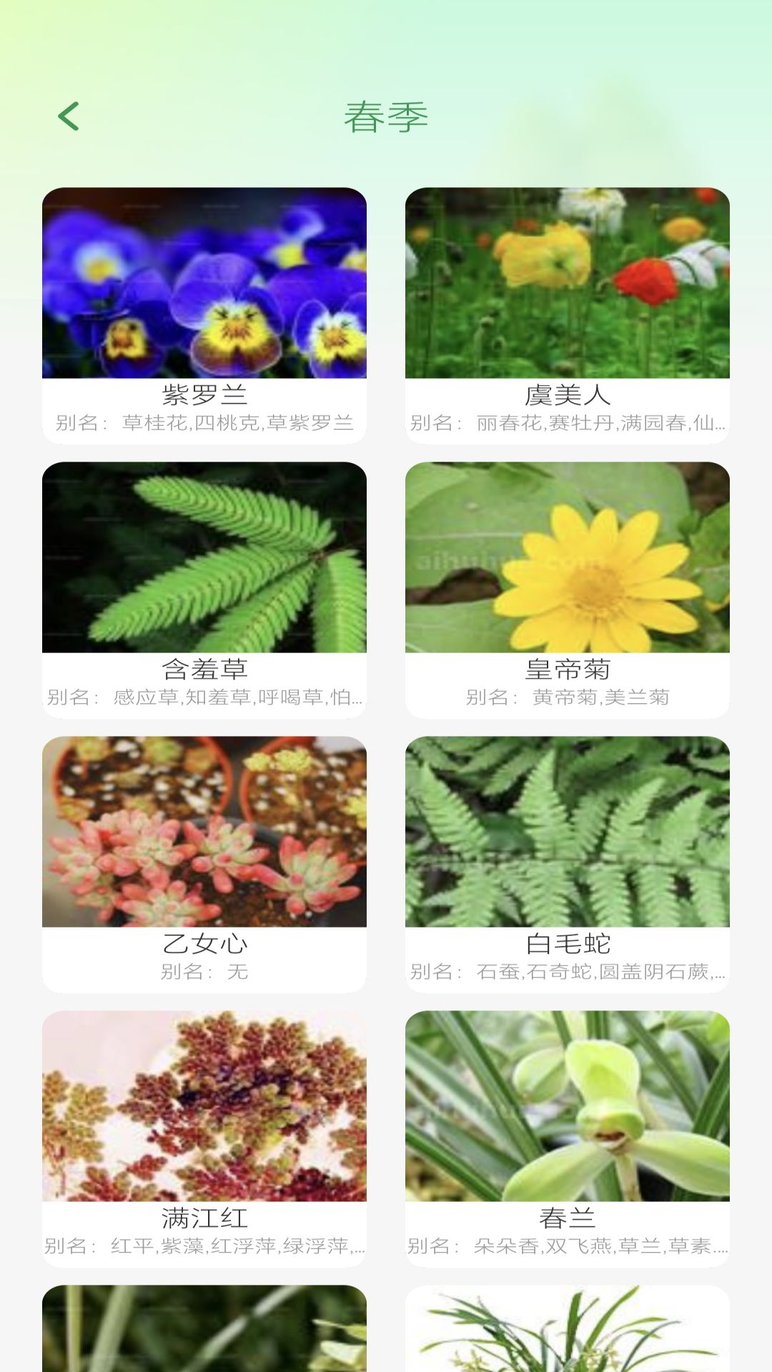 妙看四季软件封面