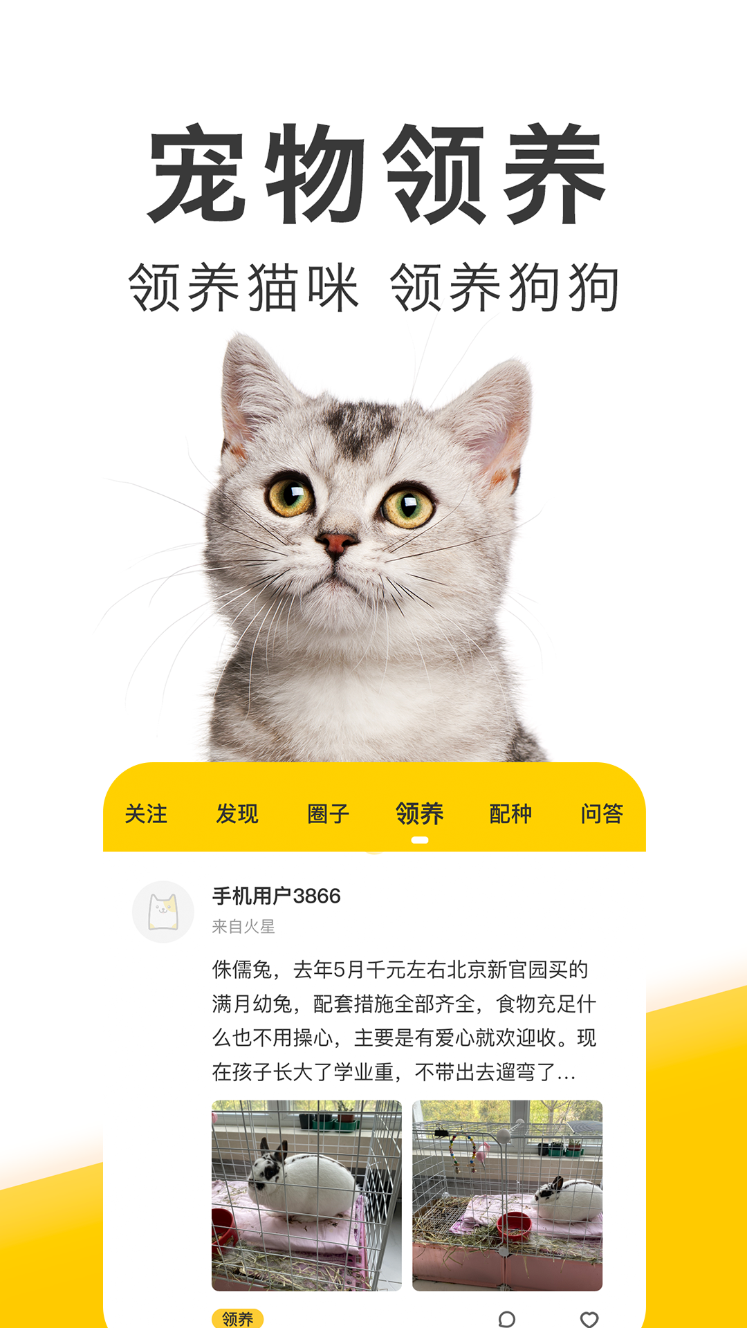 有只宠物软件封面
