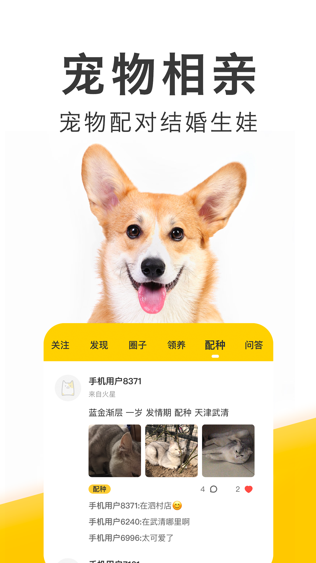 有只宠物软件封面