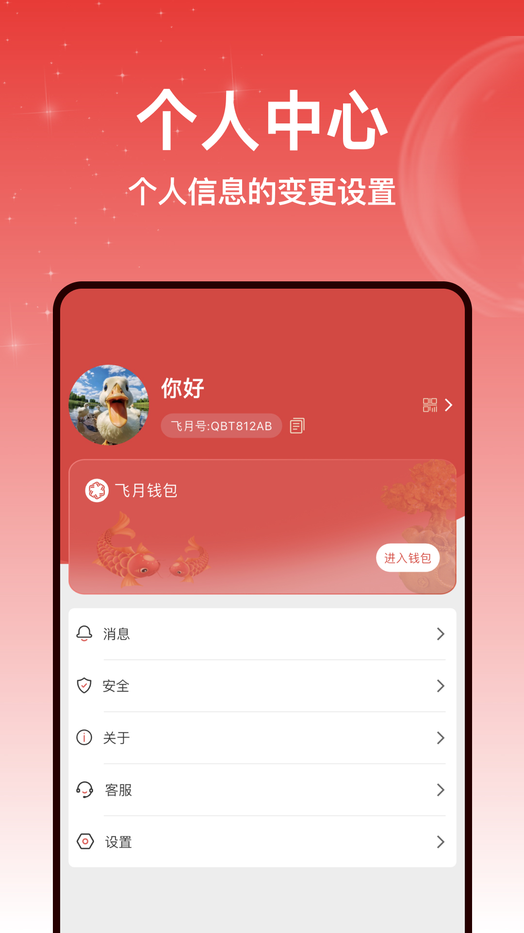 飞月软件封面