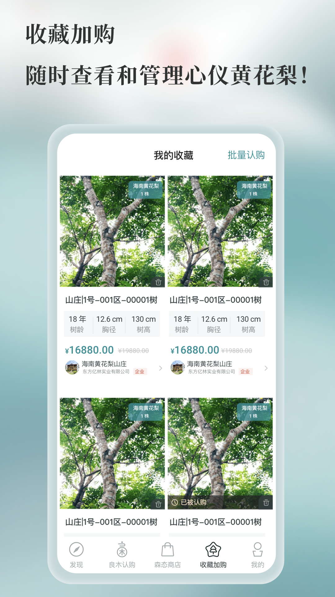 良木森林软件封面