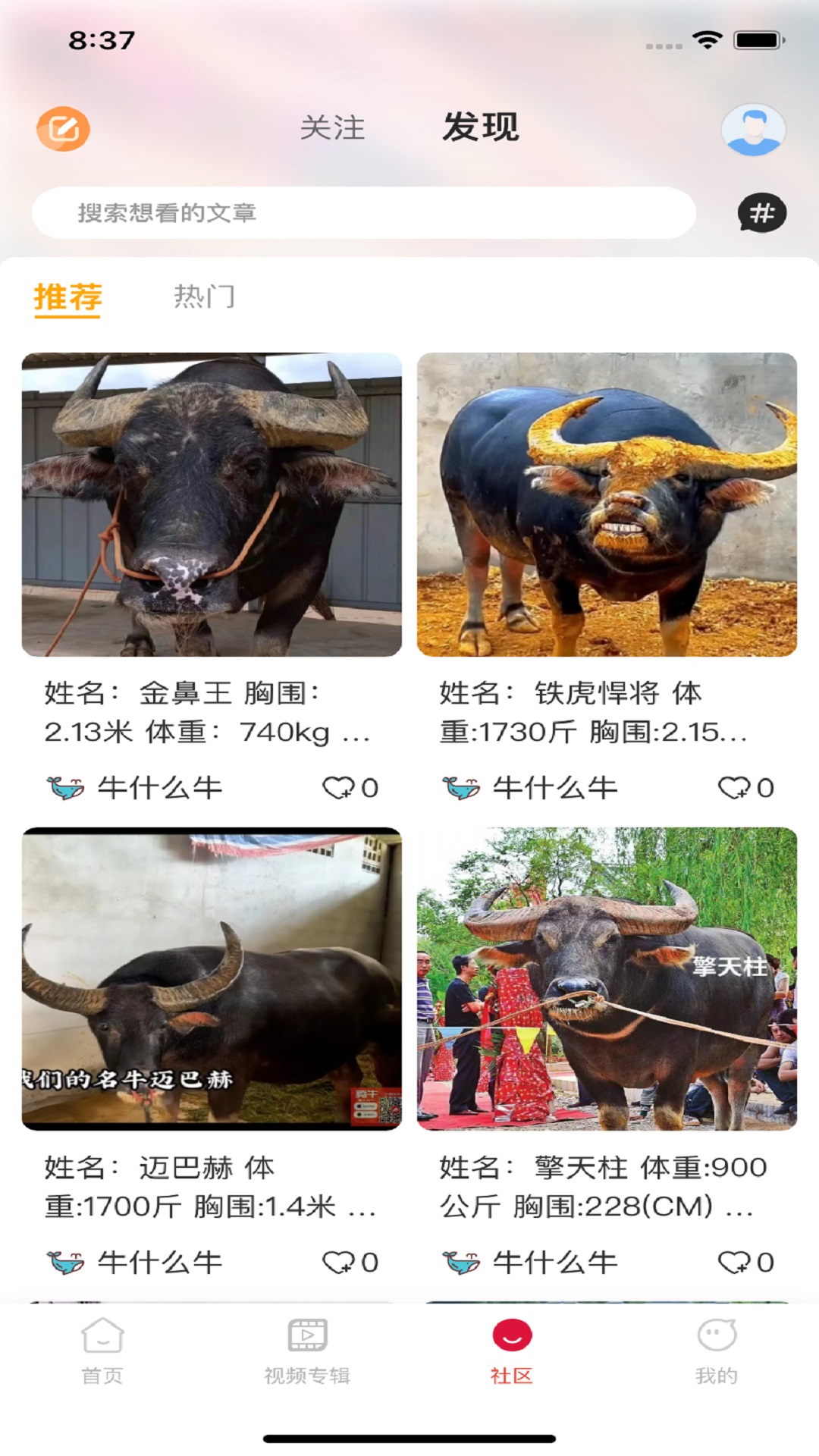 腾牛软件封面