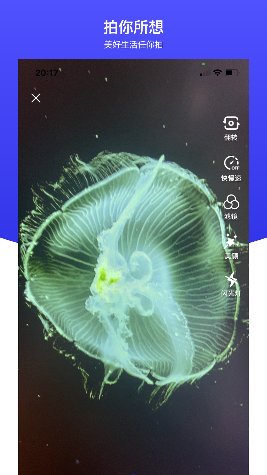 世子播播软件封面