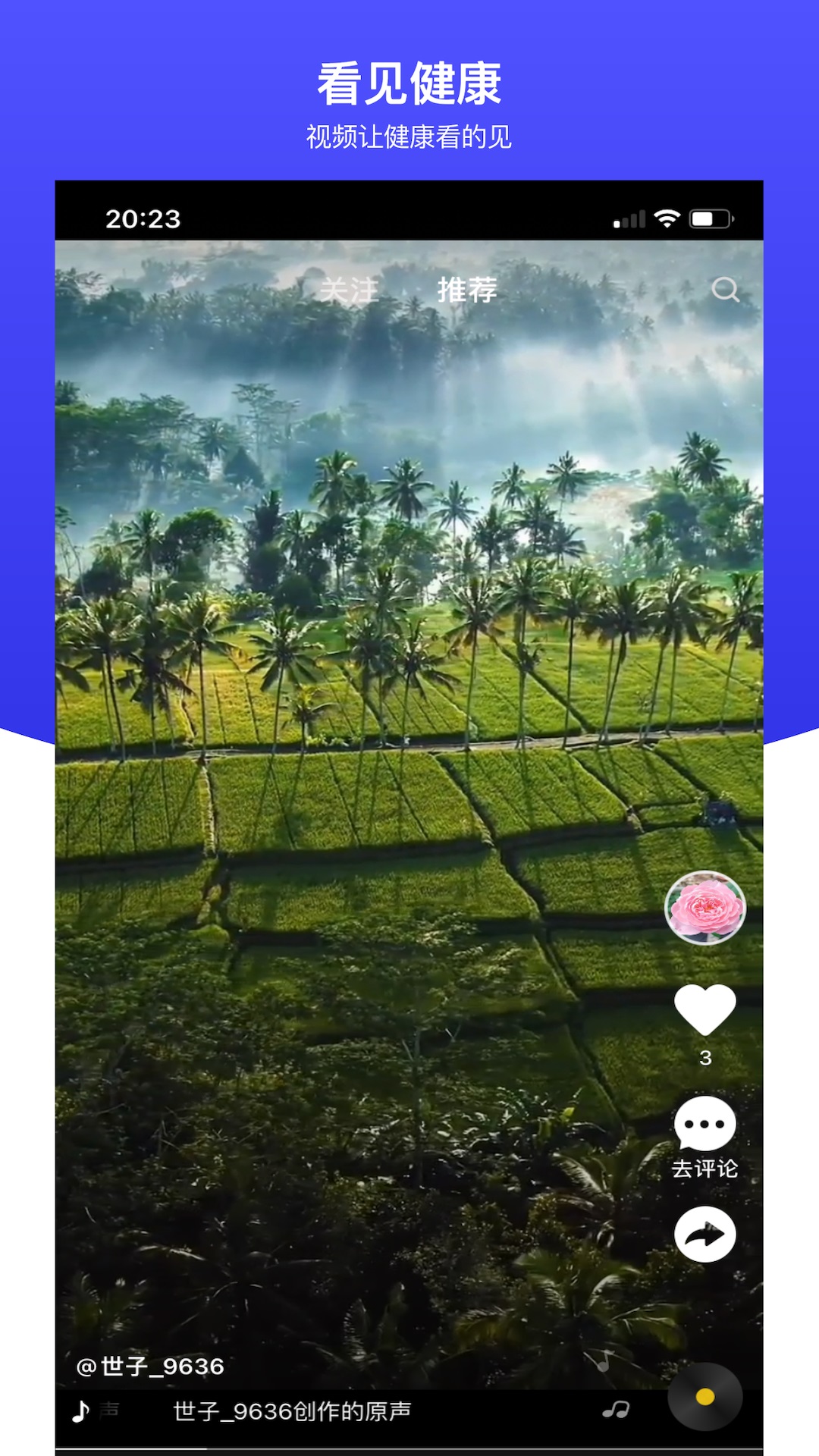 世子播播软件封面