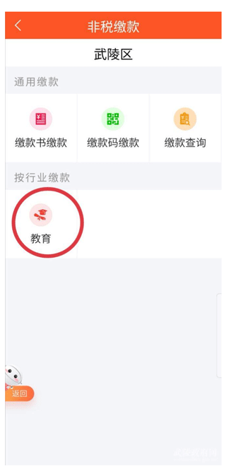 教育栏目界面