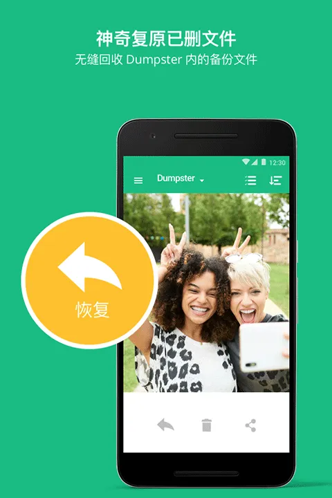 Dumpster专业版软件封面