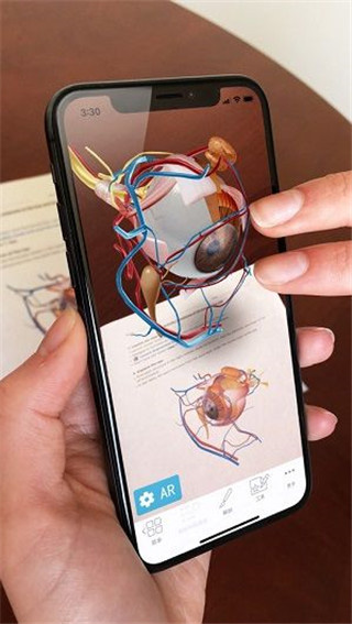 atlas人体解剖学图谱2024软件封面