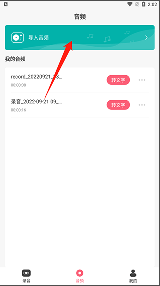 导入音频