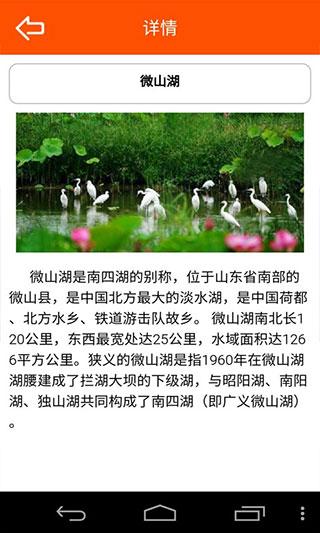看微山app软件封面