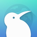 Kiwi浏览器中文
