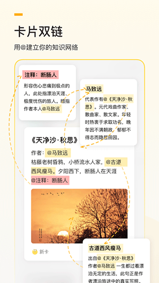 闪记卡app软件封面