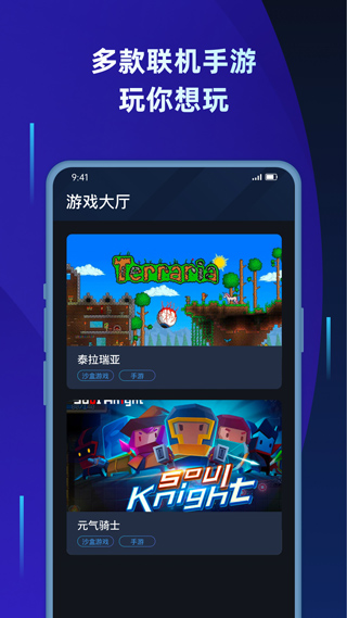 蒲公英联机平台app软件封面