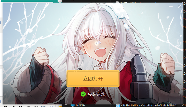 安装步骤截图