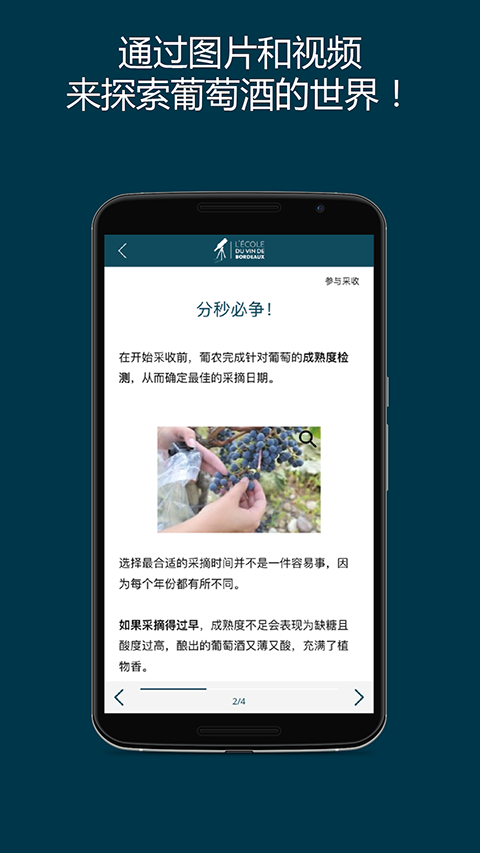 掌上波尔多APP软件封面
