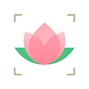 识花app