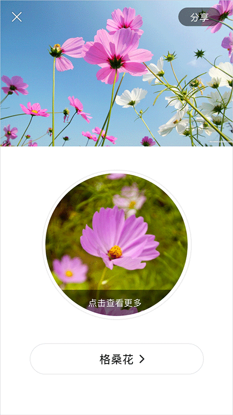 识花app软件封面