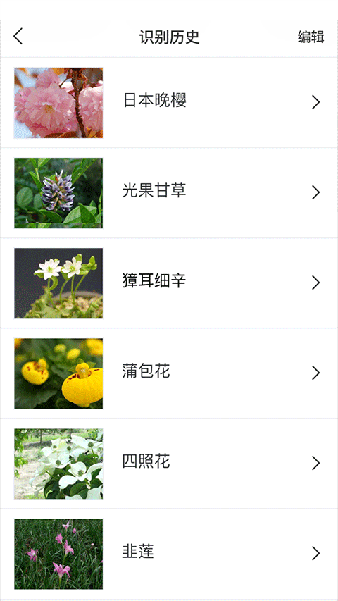 识花app软件封面
