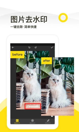 一键去水印专业版软件封面