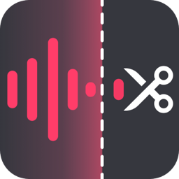 金舟音频大师 v1.0.1 PC版