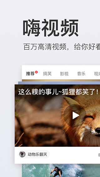 网易新闻谷歌市场版软件封面