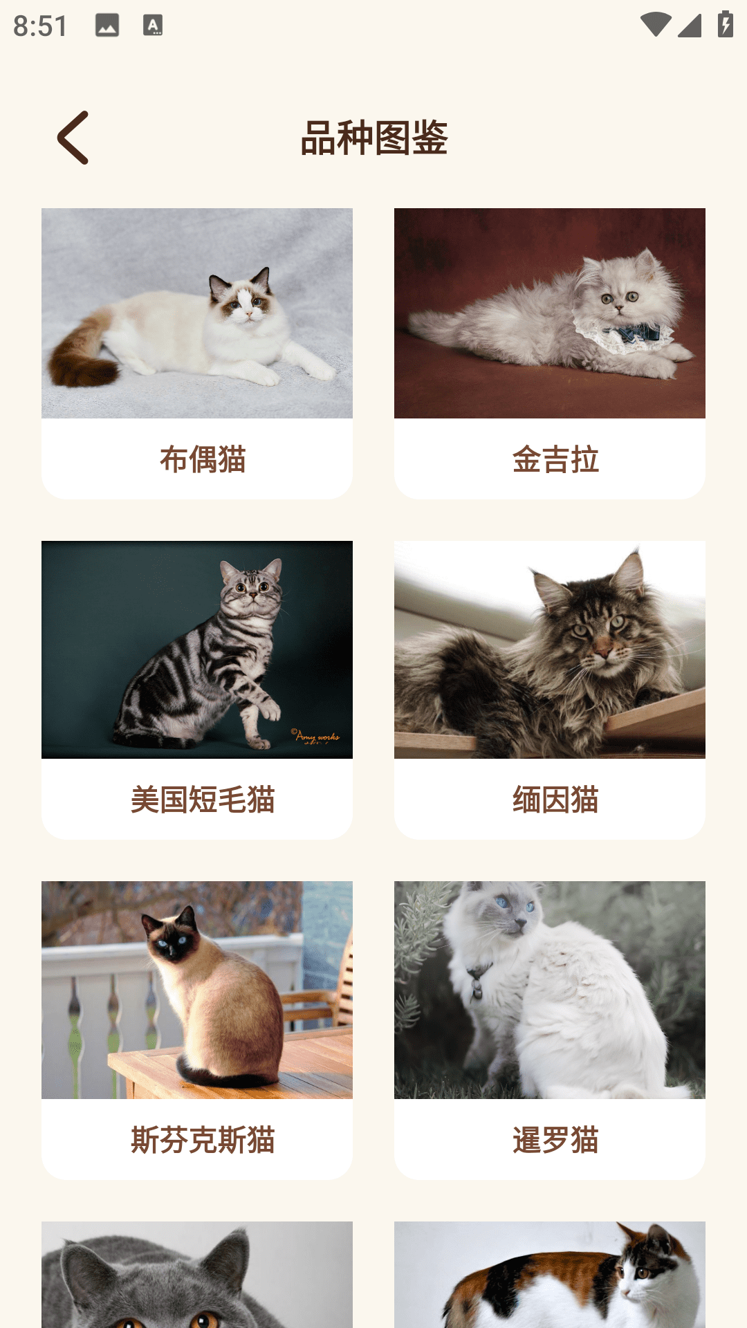 Peppycat猫语翻译器软件封面