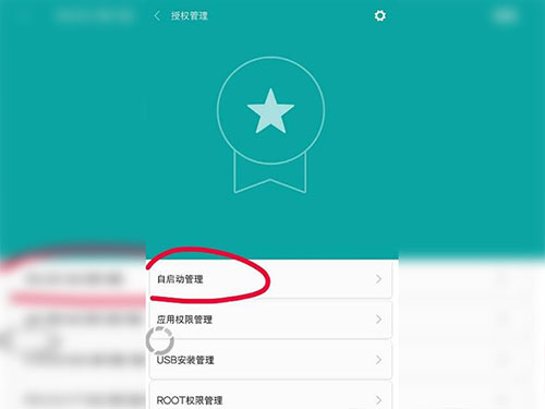 自启动应用列表