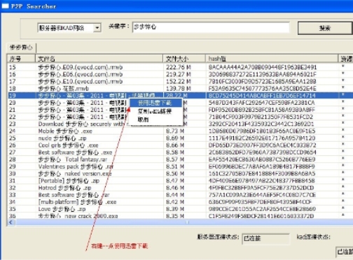 P2PSearcher 安全保障