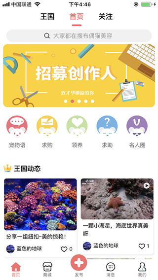 宠物王国app首页