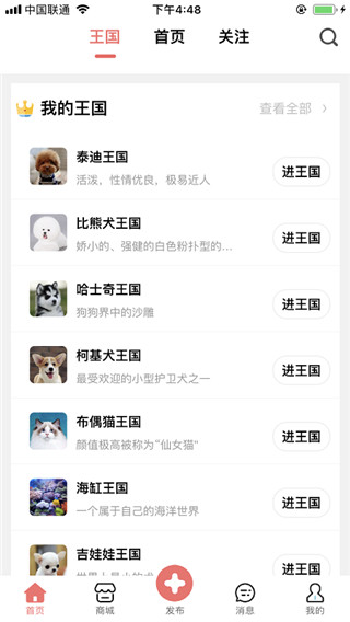 宠物王国app消息界面