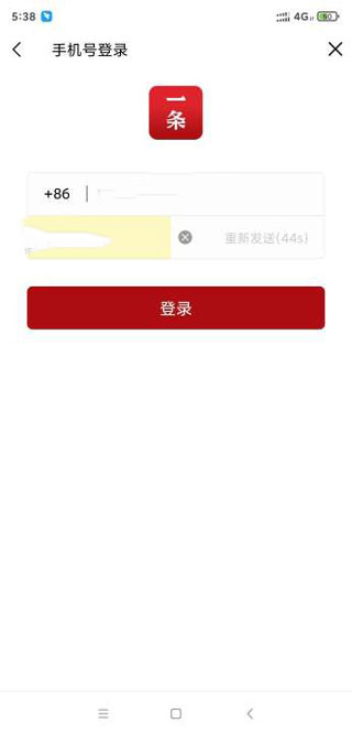 输入验证码界面
