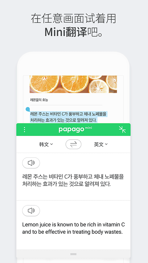 papago中韩翻译软件软件封面