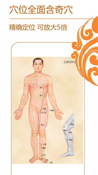 经络养生app软件封面