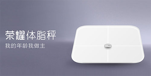 荣耀体脂秤app图片