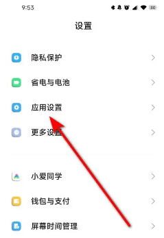 应用设置界面截图