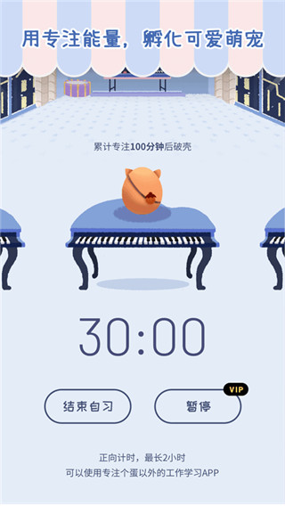 专注崽崽app软件封面