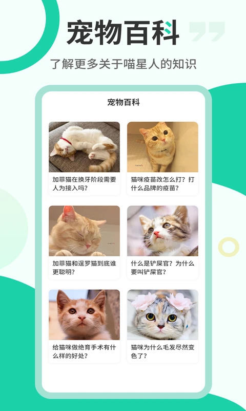 猫语翻译机软件软件封面
