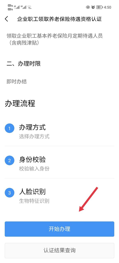 办理流程界面