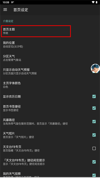 首页主题选项
