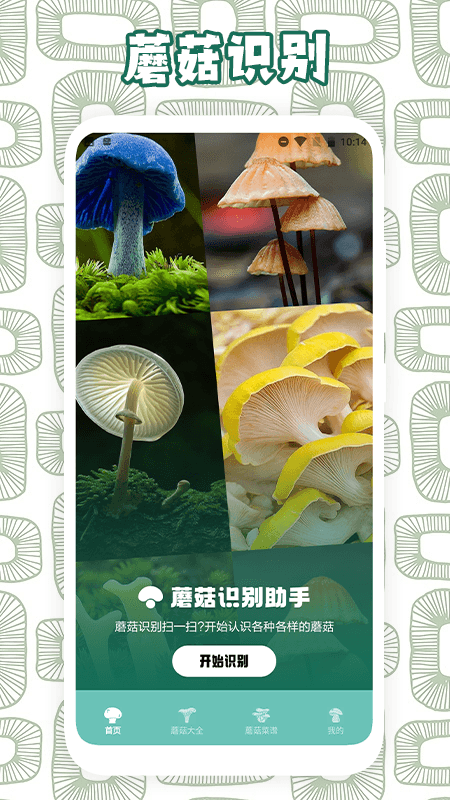 蘑菇识别软件封面