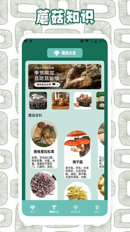 蘑菇识别软件封面