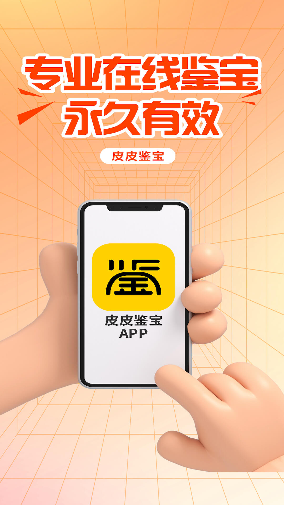 皮鉴宝软件封面