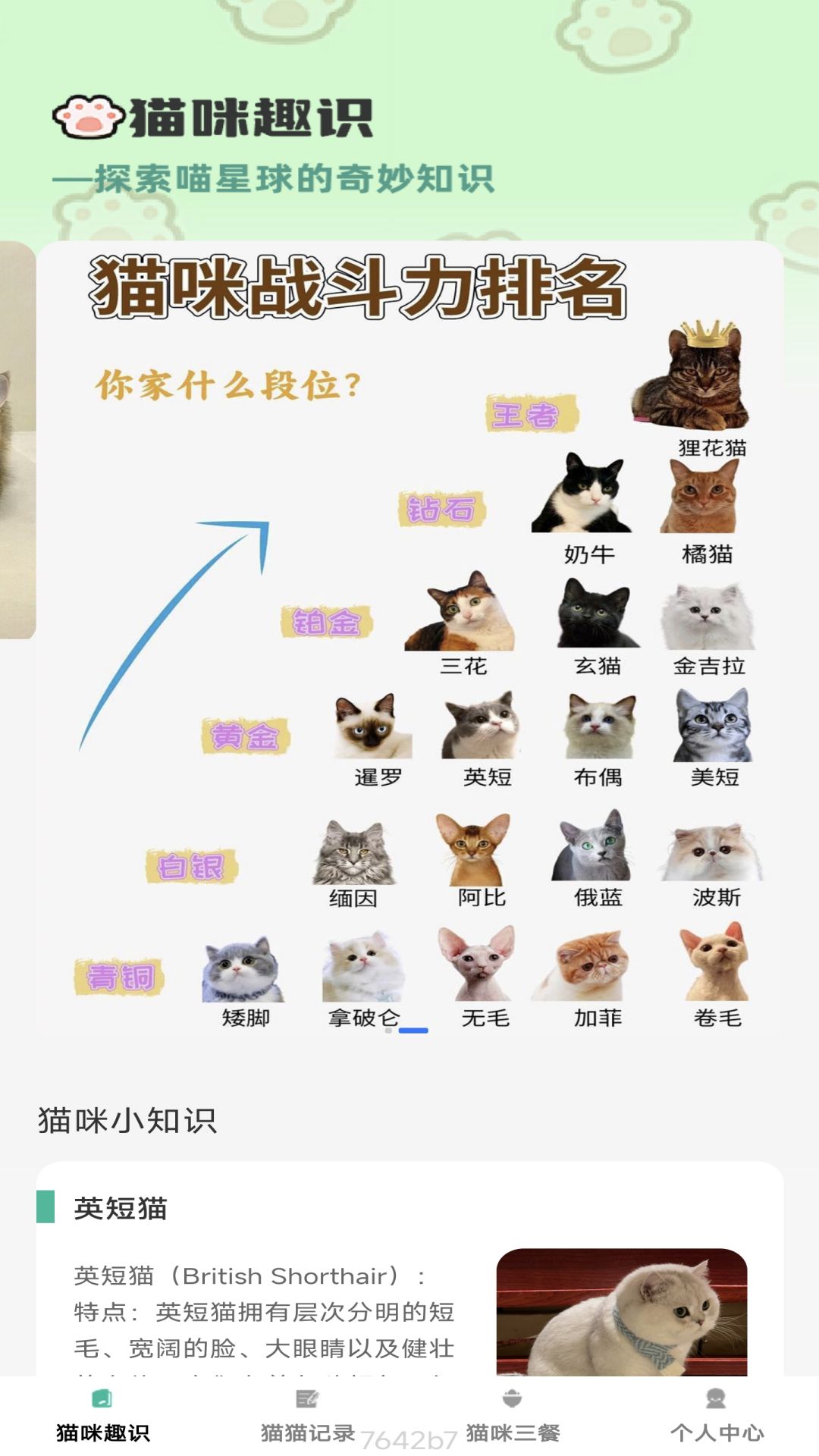 猫咪趣看软件封面