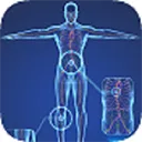 三维模型体谱app