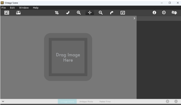 Vintage Scene Software Features
