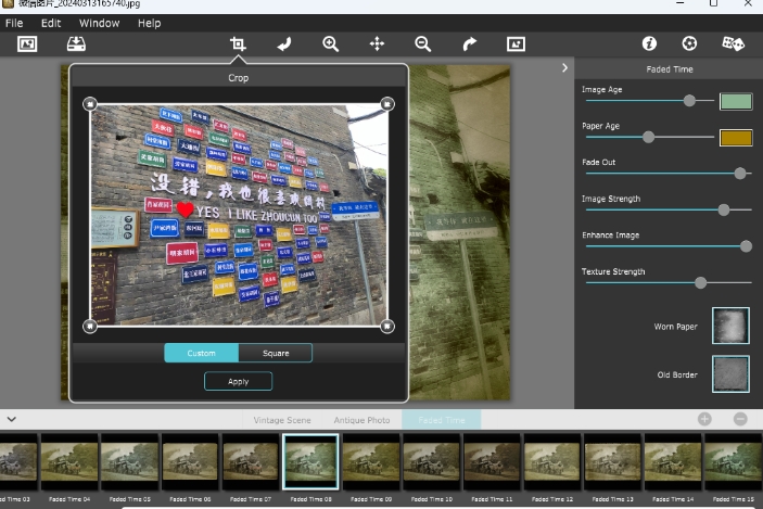 Vintage Scene Preview Function