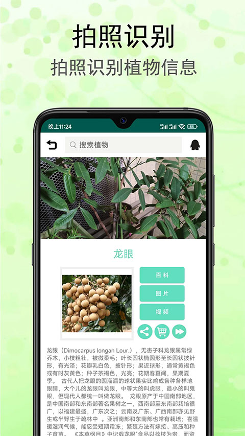 识花草软件软件封面