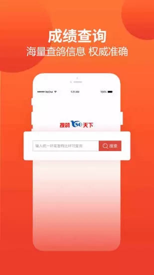 赛鸽头条app软件封面