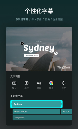 VN视频剪辑中文版第5张手机截图